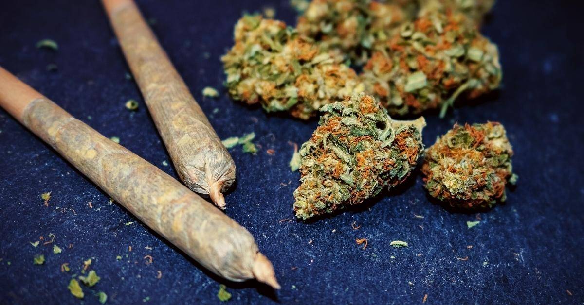 In Dallas Marijuana Remains Problem