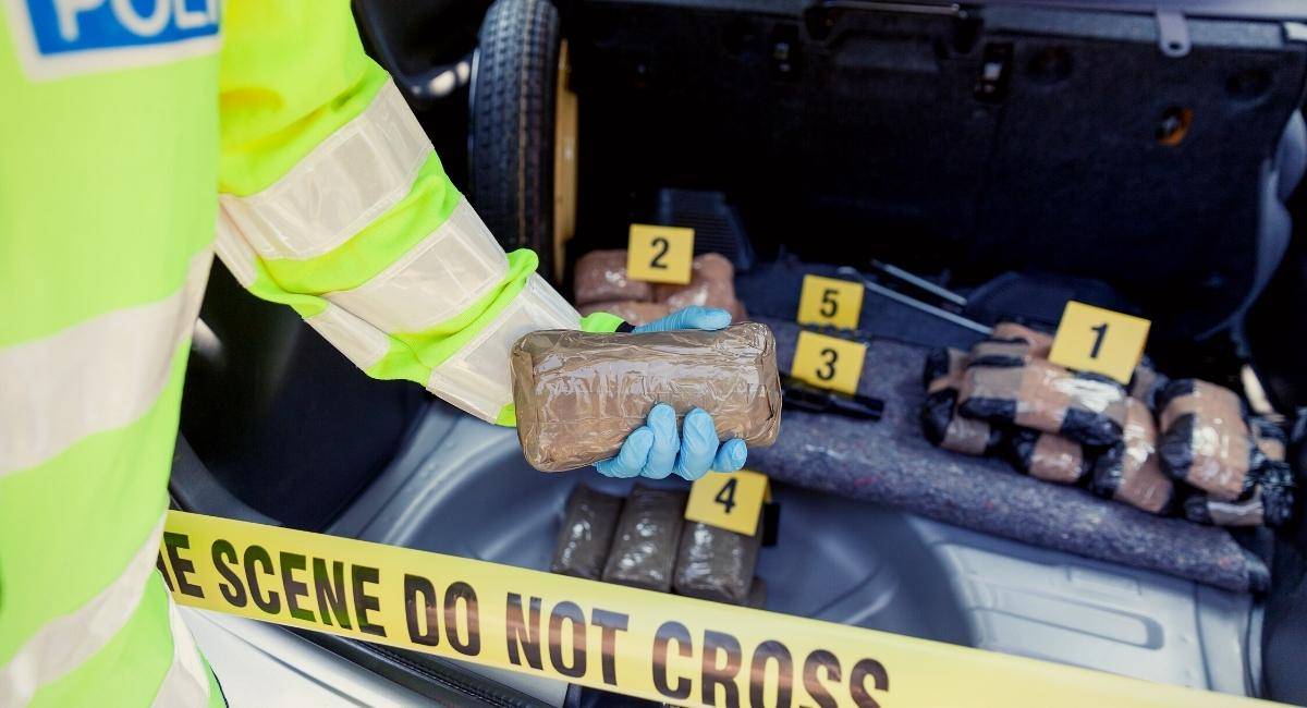Major Drug Busts in Dallas